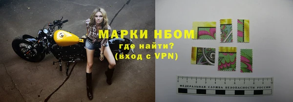 амф Зеленокумск