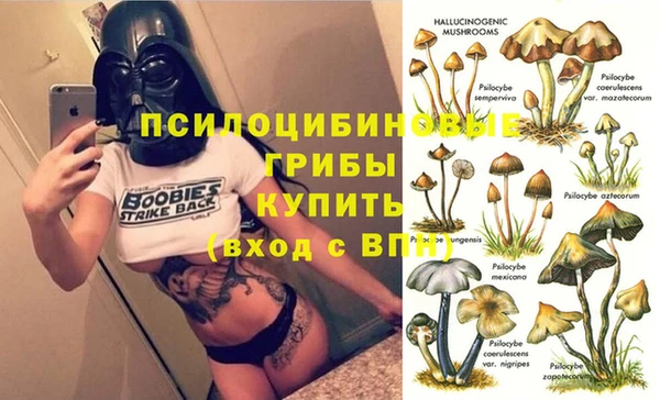амф Зеленокумск