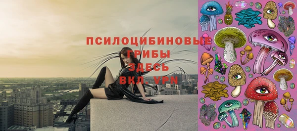 амф Зеленокумск