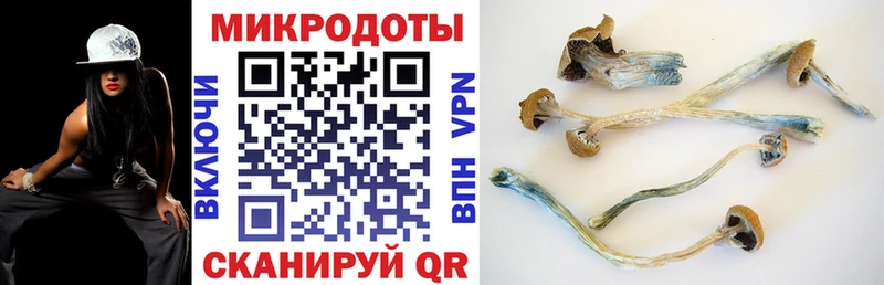 Псилоцибиновые грибы Psilocybine cubensis  Купить закладки  Карпинск 